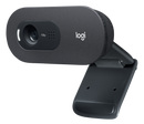 Logitech C505e HD Business Webcam