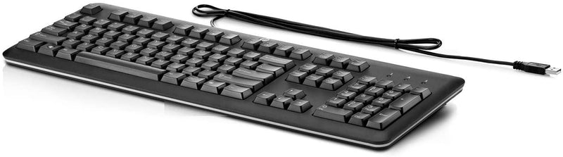 HP USB Keyboard for PC (QY776AA)