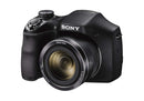Sony DSC-H300 H Series Digital Camera