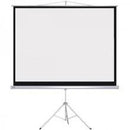 Visual Apex 70 by 70 Manual Projection Screen