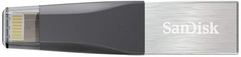 SanDisk (SDIX40N-064G-GN6NN) 32GB Ixpand Mini Flat Dry