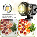 Products GVM P80S LED 4-Light Kit - Umbrellas, Softboxes, and Backdrops